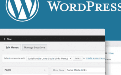 What are the Advantage and Disadvantage of WordPress Website?